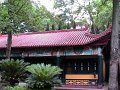 IMG_0201a (8)
